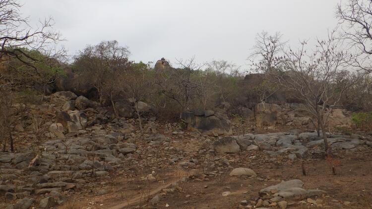 kusãa Mount